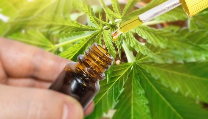 Hemp Extraction Methods Explained