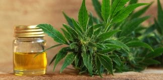 cannabis and cbd pros and cons