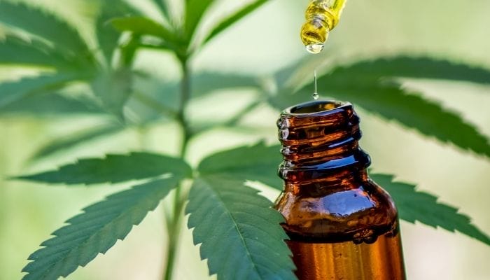 The Benefits of Using CBD to Reduce Pain