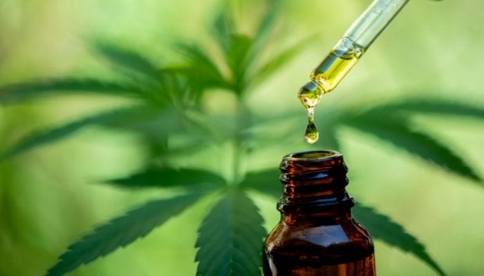 The Process Behind Making CBD Oil: A Guide for Beginners
