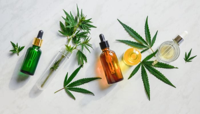What CBD Products Are Best for Beginners?