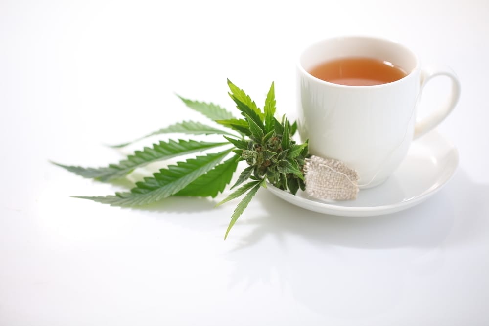 hemp tea . medical cannabis leaf