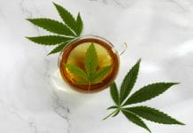 Know Before You Buy & Try CBD Products