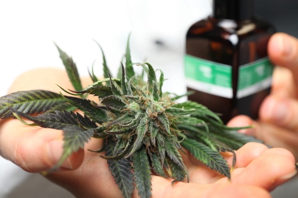 Medical Marijuana in Pennsylvania