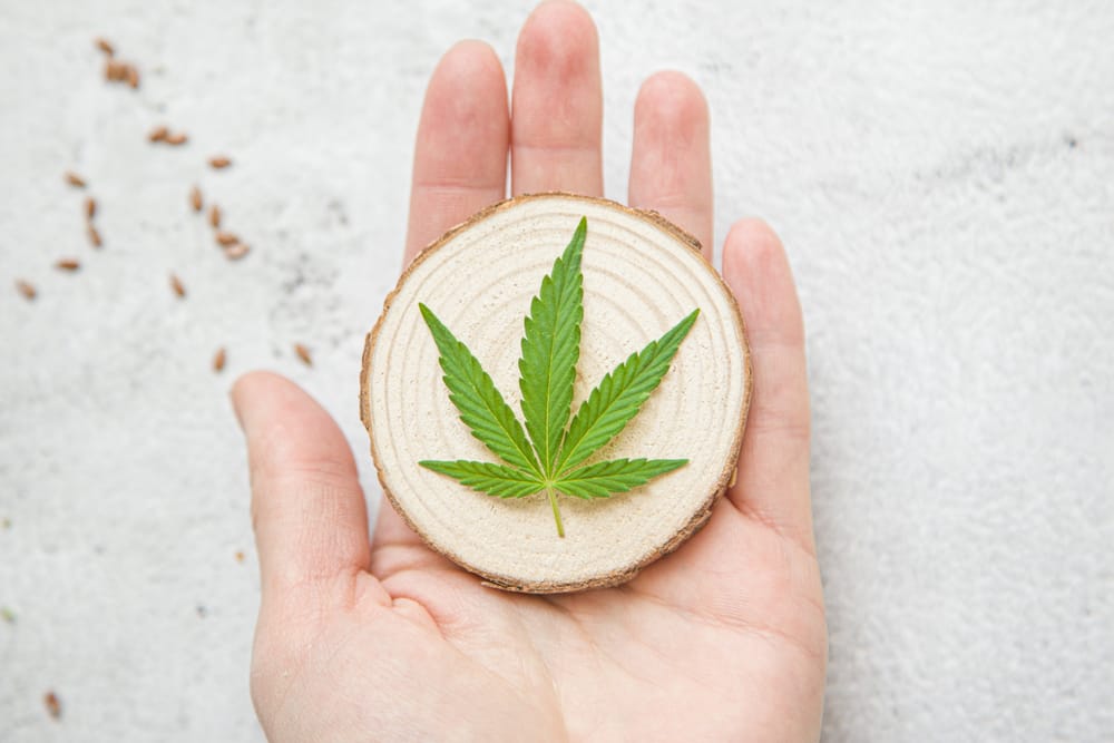 The States That Allow Out-of-State Medical Marijuana Cards in 2022