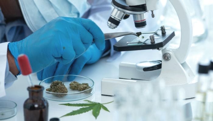 What Cannabis Needs To Be Lab Tested For