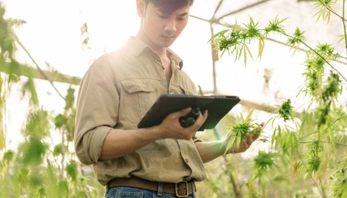 Best Ways To Market on Social Media for Your CBD Business