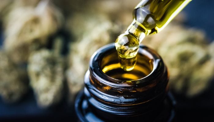 Top 5 CBD Business Opportunities To Try in 2024