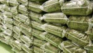 Home 22 Cannabis wrapped in plastic storage bags ready for transport from the warehouse to the consumer shop.