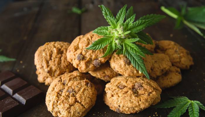 A pile of marijuana-infused chocolate chip cookies on a dark brown table. A cannabis bud rests on top of the cookies.