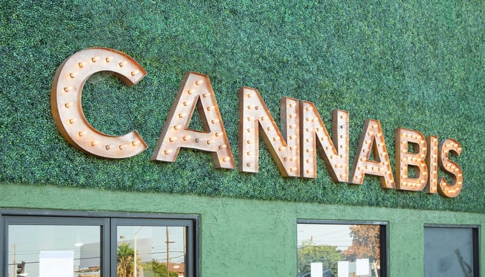 A business building contains large, gold letters with lights that spell out "cannabis." The building's exterior is green.