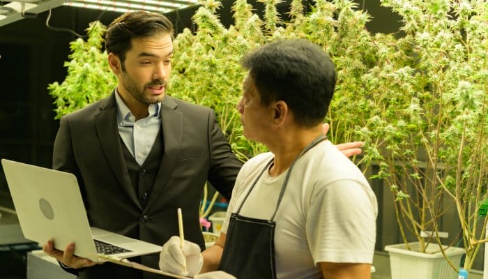 Two men, one in a suit and the other in an apron, are talking with a computer and clipboard in front of a row of cannabis plants.