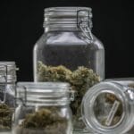 A close-up of four glass jars of various sizes that are full of cannabis sitting on a flat gray surface.
