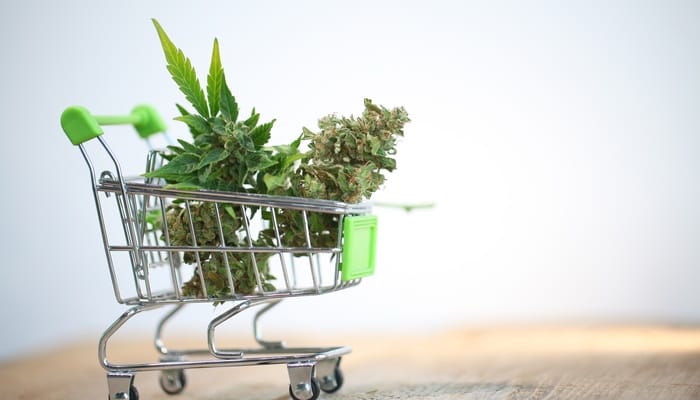One fresh and three dried cannabis buds in a miniature shopping cart on a wooden surface against a gray background.