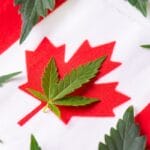 A close-up of a Canadian flag with a marijuana leaf superimposed on the central maple leaf and other cannabis leaves nearby.
