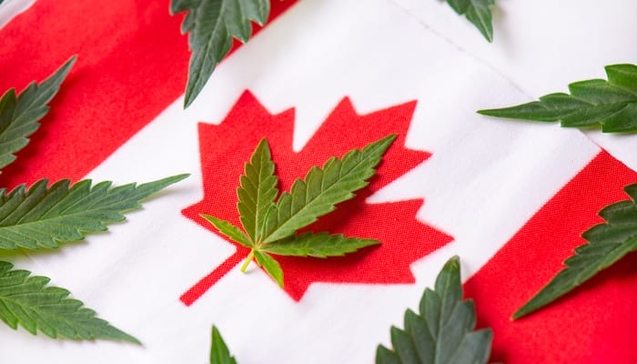 A close-up of a Canadian flag with a marijuana leaf superimposed on the central maple leaf and other cannabis leaves nearby.