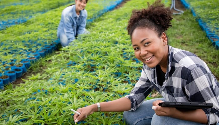 Two people kneel down and smile while examining a long row of cannabis plants in a greenhouse space.