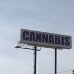 A large directional billboard elevated at a height, displaying the word "cannabis" in big, bold letters.