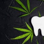 A white wooden cutout of a human tooth surrounded by cannabis leaves against a textured black background.