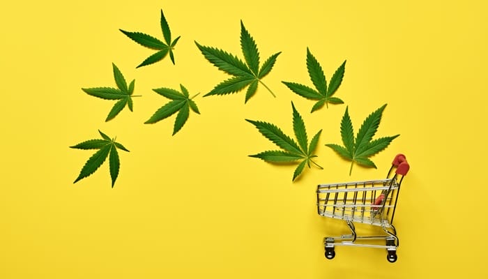 A group of cannabis leaves of different sizes float above a small metal shopping cart on a yellow background.