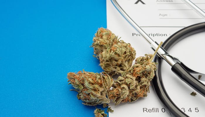 Three green-and-brown cannabis flowers resting on a prescription sheet from a medical practice alongside a stethoscope.