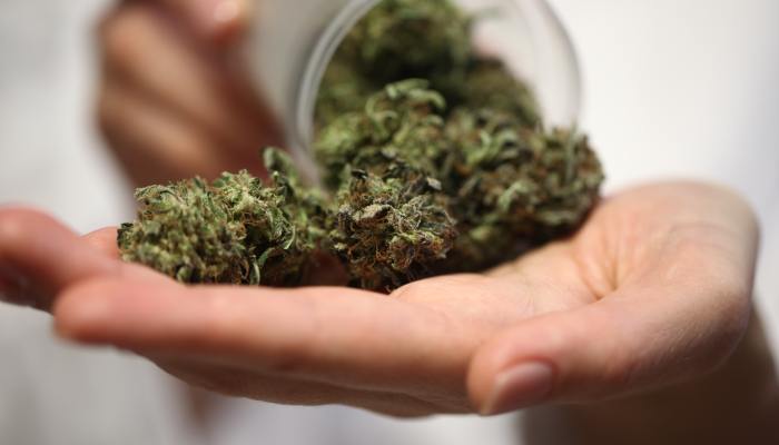 A close-up shows a hand that contains a palmful of cannabis buds spilling from a clear container that the other hand is tipping.