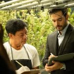 A close-up showing two men writing on clipboards in front of a long row of large, green cannabis plants.
