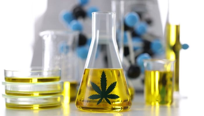 Several scientific beakers, petri dishes, and jars filled with yellow liquid. One has a cannabis leaf decal on it.