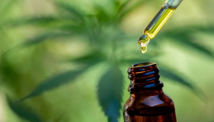 A small, amber dropper bottle full of CBD oil in front of a cannabis plant. The plant is out of focus.