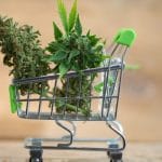A mini shopping cart contains two green cannabis plant buds.