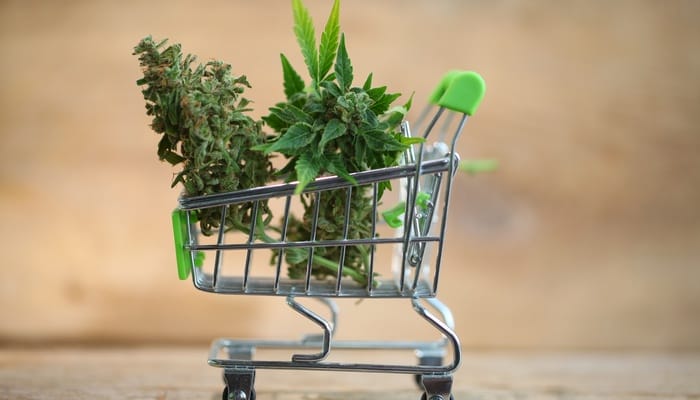 A mini shopping cart contains two green cannabis plant buds.