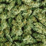 A pile of dried cannabis flower buds on a dark background.