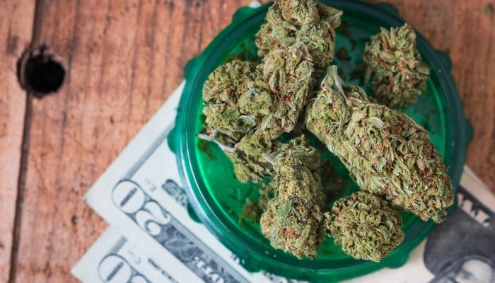 Multiple marijuana buds sit on top of a green container, which sits on two $20 bills on a wooden table.